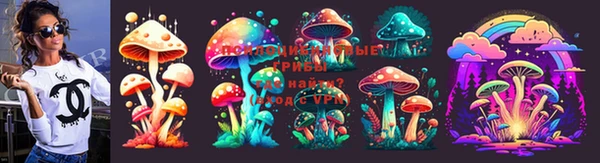 дживик Арсеньев