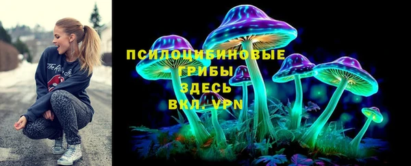 соль ск Аркадак